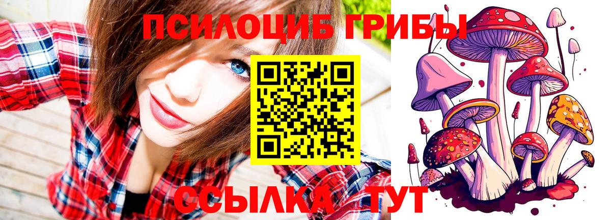 Галлюциногенные грибы прущие грибы  Псилоцибиновые грибы мицелий  Вход с VPN  Городец 