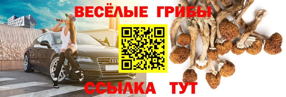 Псилоцибиновые грибы ЛСД Городец